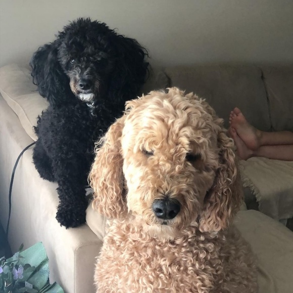 Meet your Posher, Brenda - Picture 1 of 1